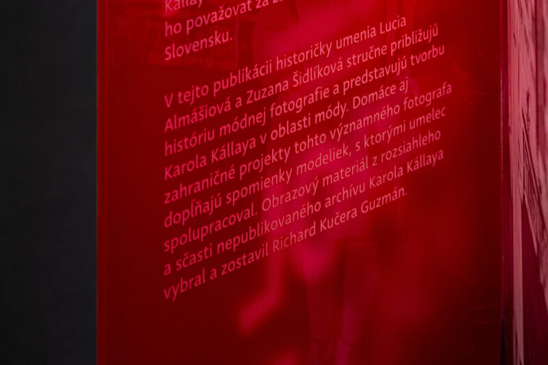 Karol Kállay: Zaostrené na krásu - Image 13
